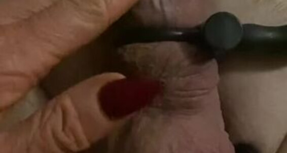 Ladydarkangeluk Onlyfans 100