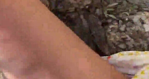 Heidi Grey 4 Girls 1 Tree My Pov Of These Beautiful Babes Eating My Pussy At1Jaxvm